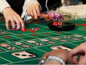 k·yun新网站登录下载app2024最新版